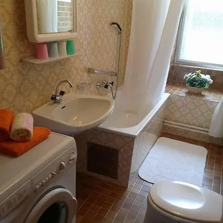 Steinadler Quiet Location Garden, Private Parking Pet Friendly 아파트