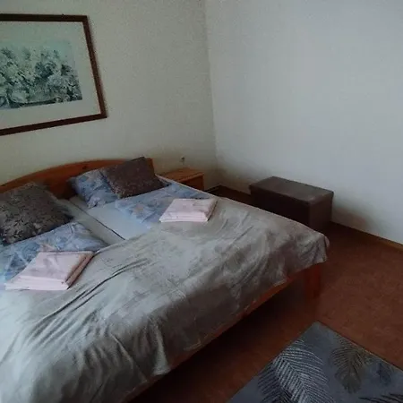 Steinadler Kertes Haz Csendes Helyen Sajat Parkoloval Kutyabarat Apartment *