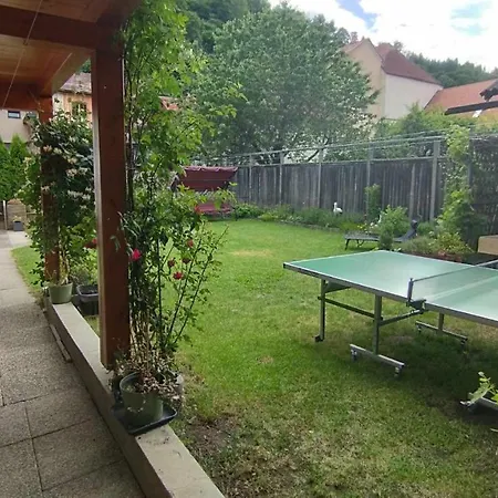 Steinadler Quiet Location Garden, Private Parking Pet Friendly Daire *