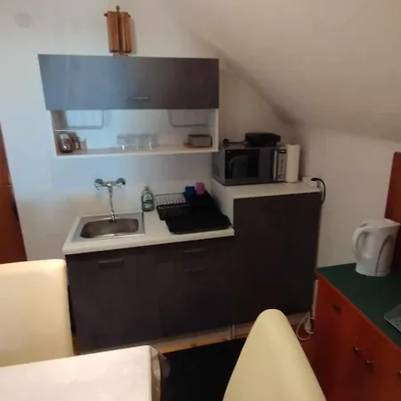 Steinadler Kertes Haz Csendes Helyen Sajat Parkoloval Kutyabarat Apartment Murau