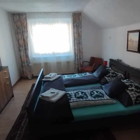 Steinadler Kertes Haz Csendes Helyen Sajat Parkoloval Kutyabarat Apartment *