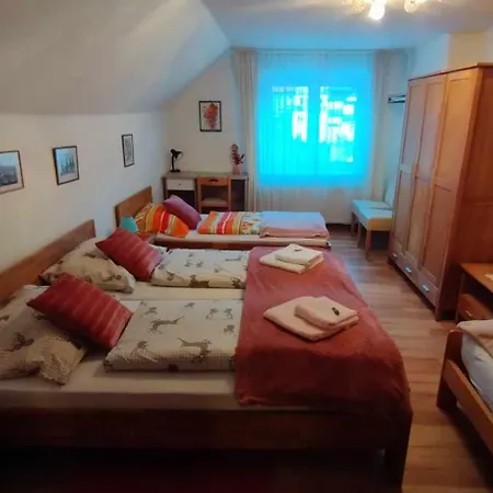 Steinadler Kertes Haz Csendes Helyen Sajat Parkoloval Kutyabarat Murau