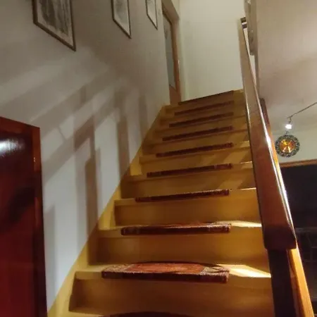 Steinadler Kertes Haz Csendes Helyen Sajat Parkoloval Kutyabarat Apartment