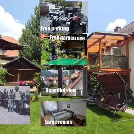 Steinadler Quiet Location Garden, Private Parking Pet Friendly 아파트 *