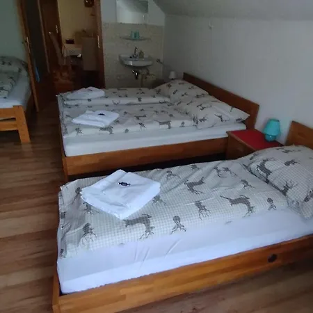 Apartment Steinadler Kertes Haz Csendes Helyen Sajat Parkoloval Kutyabarat *