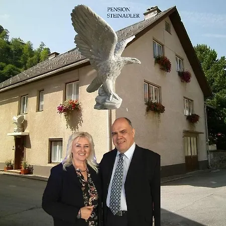 Steinadler Kertes Haz Csendes Helyen Sajat Parkoloval Kutyabarat * Murau