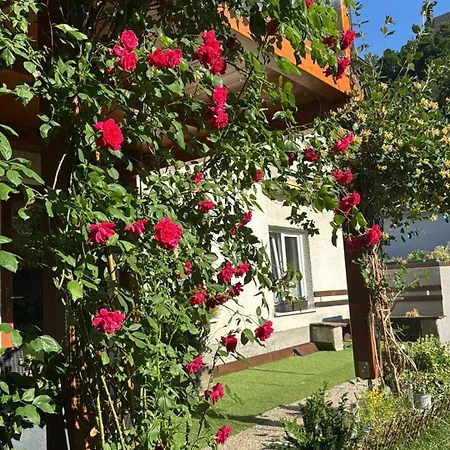 Apartment Steinadler Kertes Haz Csendes Helyen Sajat Parkoloval Kutyabarat *