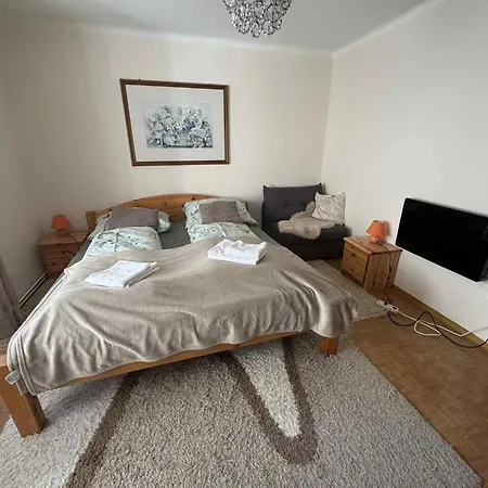 Steinadler Quiet Location Garden, Private Parking Pet Friendly Daire *