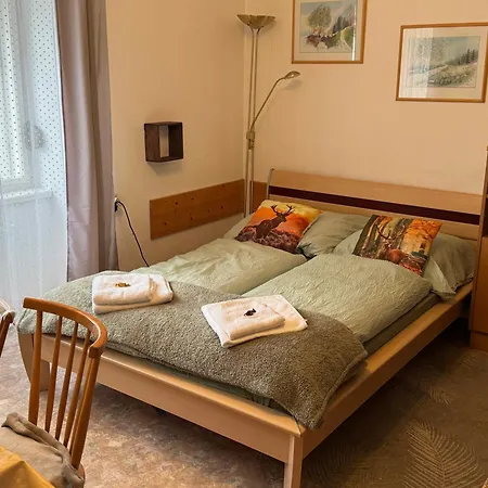 Daire Steinadler Quiet Location Garden, Private Parking Pet Friendly