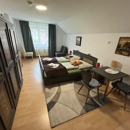 Apartment Steinadler Quiet Location Garden, Private Parking Pet Friendly Murau