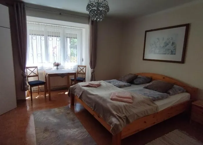 Apartman Steinadler Dog-friendly, Quiet, Garden House With Private Parking&beautiful Views - Kertes Egy áráért *