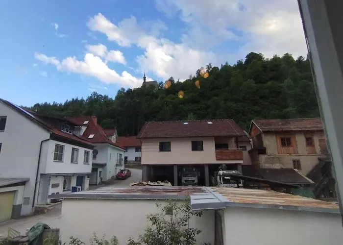 Steinadler Kertes Haz Csendes Helyen Sajat Parkoloval Kutyabarat Lejlighed Murau