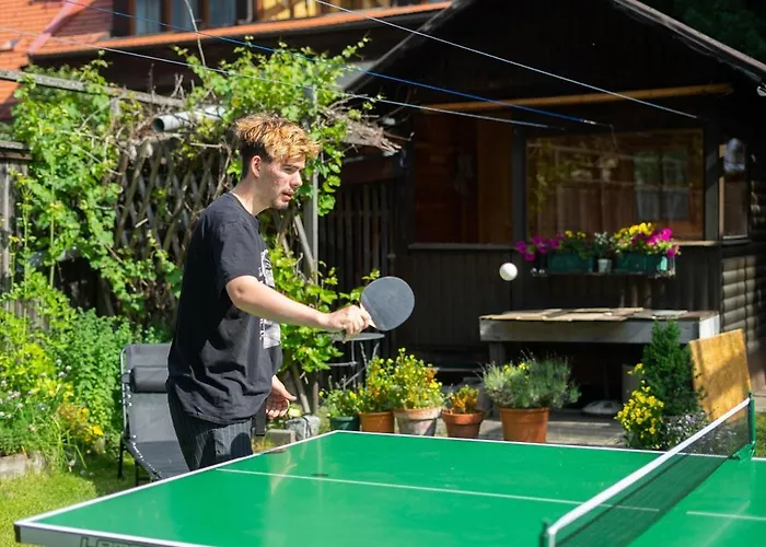 Apartman Steinadler Dog-friendly, Quiet, Garden House With Private Parking&beautiful Views - Kertes Egy áráért *