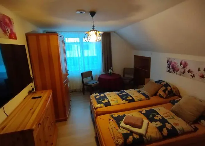 Apartman Steinadler Dog-friendly, Quiet, Garden House With Private Parking&beautiful Views - Kertes Egy áráért