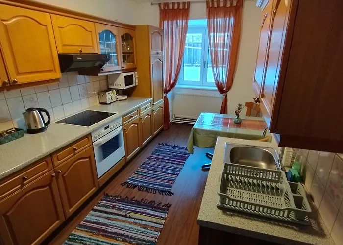 Apartman Steinadler Dog-friendly, Quiet, Garden House With Private Parking&beautiful Views - Kertes Egy áráért *