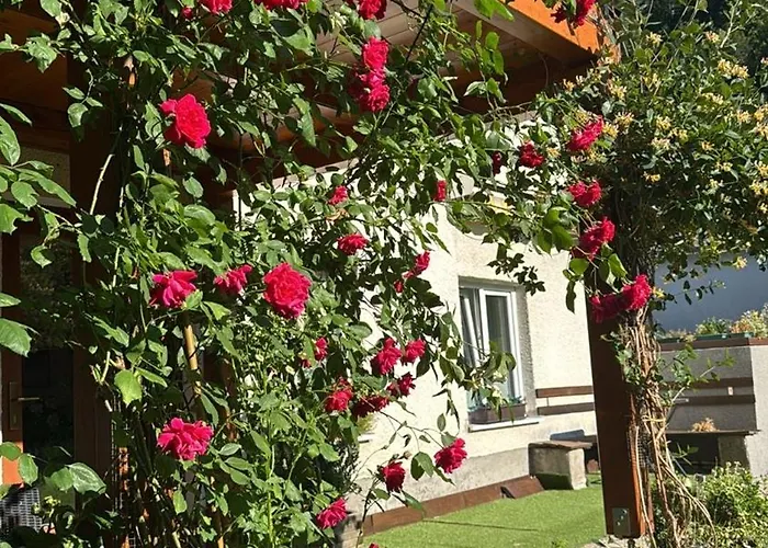 아파트 Steinadler Quiet Location Garden, Private Parking Pet Friendly *