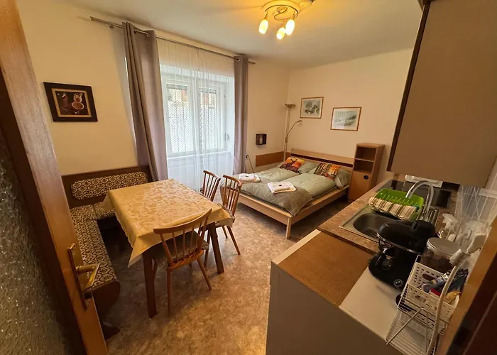 Apartman Steinadler Dog-friendly, Quiet, Garden House With Private Parking&beautiful Views - Kertes Egy áráért *