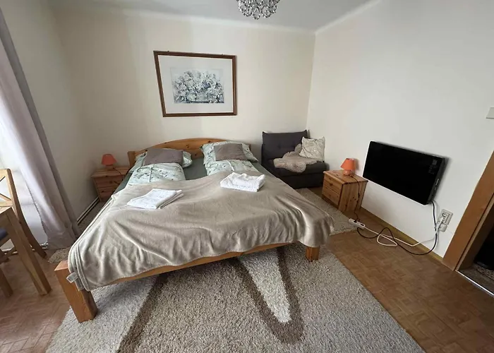 Steinadler Quiet Location Garden, Private Parking Pet Friendly 아파트 *