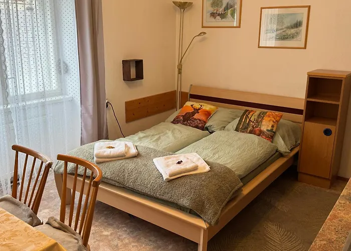 Apartman Steinadler Dog-friendly, Quiet, Garden House With Private Parking&beautiful Views - Kertes Egy áráért